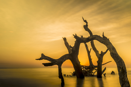 Take control of light with this Nikon School class Andy Dunaway photo of a landscape in low light, with a yellow hue