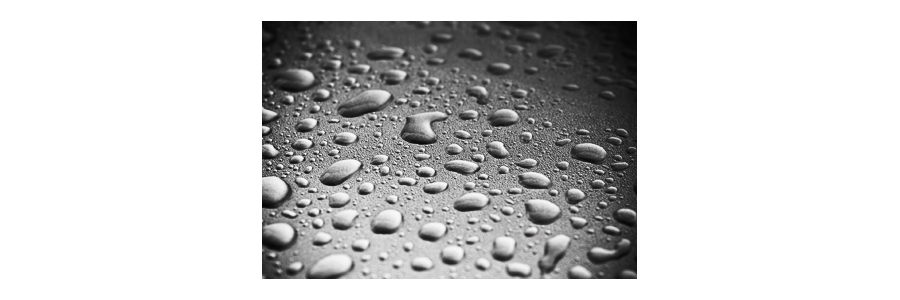 Waterproof, Fogproof, Shockproof Waterproof, Fogproof, Shockproof