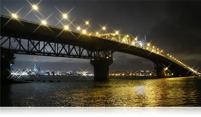 Nikon 1 J5 photo of a bridge lit up at night