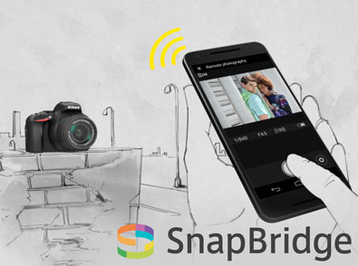 illustration of a D5600 on a wall and a hand holding a smartphone running SnapBridge