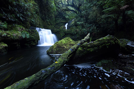 D850 DSLR photo of a landscape with a waterfall in a forest