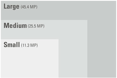 graphic illustrating RAW file sizes between large, medium and small NEFs