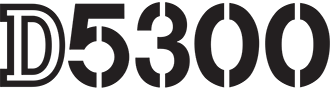 D5300