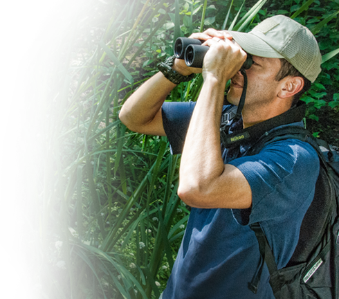 Image result for NIKON BINO PROSTAFF 5