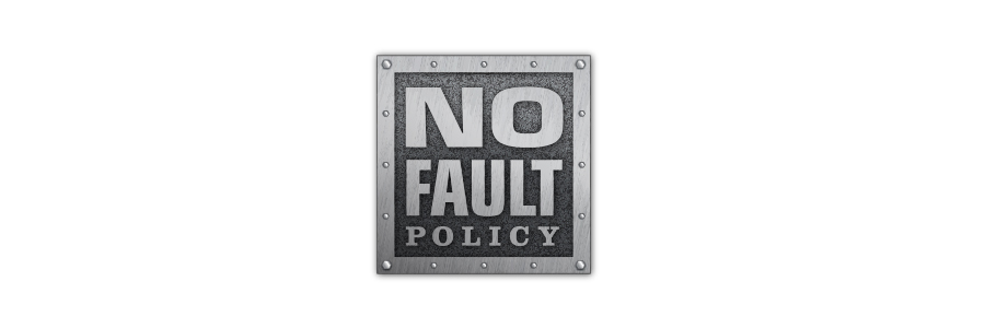 Lifetime Repair/Replacement Policy Lifetime Repair/Replacement