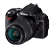 D40