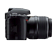 D40