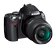 D40