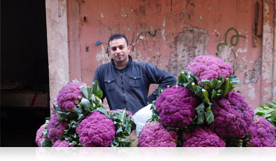 COOLPIX S7000 photo of a man and large purple cauliflowers on a street