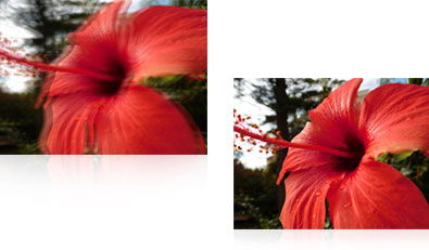 COOLPIX S7000 photo of a red flower with and without vibration reduction image stabilization