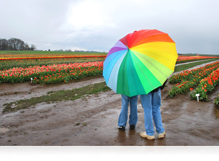 A photo of a parent and child hiding beneath a brightly colored umbrella during a rainy day in a flower garden taken with the COOLPIX S30.