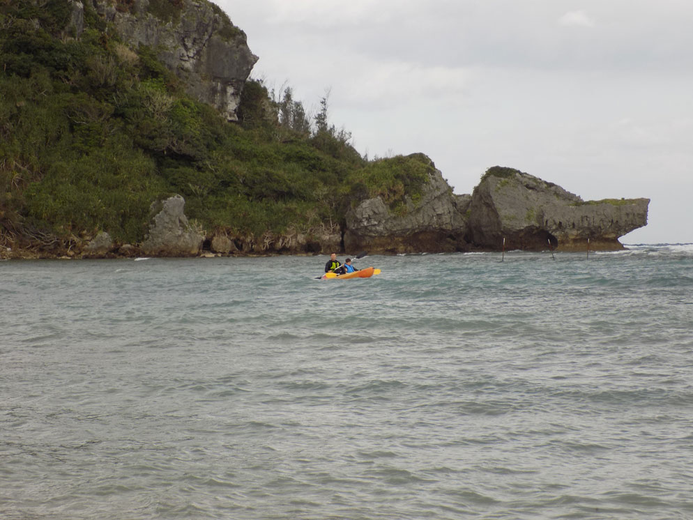 Nikon COOLPIX L340 Compact Digital Camera