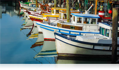 Photo of colorful boats at a marina