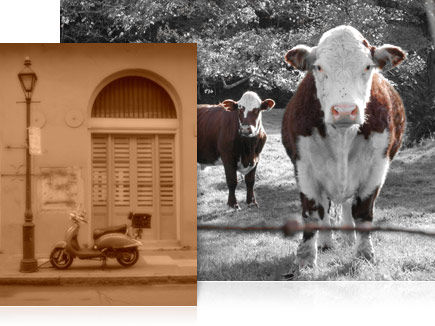 Two photos demonstrating two of the COOLPIX S6300's special effects modes.