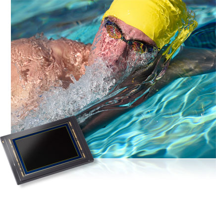 Nikon D4S photo of a competitive swimmer in a pool, partially submerged and the image sensor inset