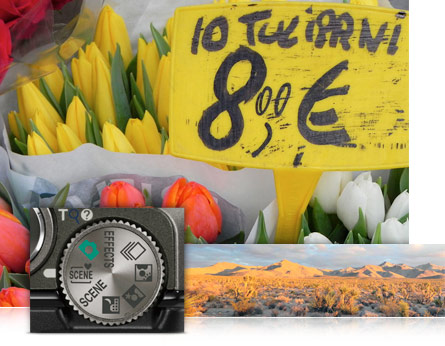 19 Scene Modes plus Scene Auto Selector and Easy Panorama Sample photos highlighting the COOLPIX S9100's 19 Scene Modes