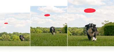 Always capture the perfect shot with the S8200's quick focus and ability to shoot six shots in one second
