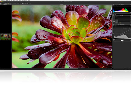 Capture NX-D is non-destructive to RAW image files Image of Capture NX-D software screenshot with a red and green flower in the main area