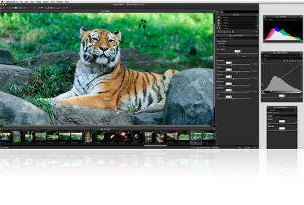 Capture NX-D is designed for today's photographer Screenshot of Capture NX-D software with floating palettes and a large image of a tiger in the center work area