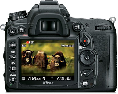 Fotografia da parte posterior da Nikon D7000 com uma imagem da natureza no LCD