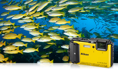 COOLPIX AW130 underwater photo of a school of yellow fish and the camera inset