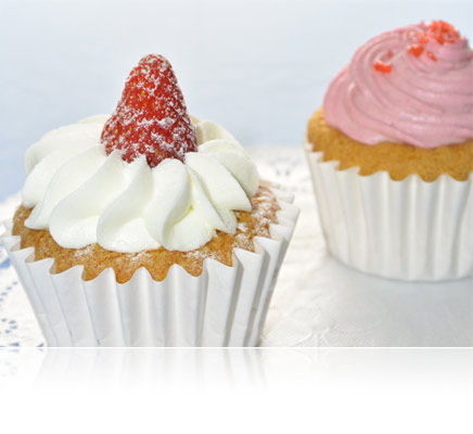 LD-1000 LED Movie Light for Nikon 1 or COOLPIX Cameras Photo of two cupcakes shot using the LD-1000 LED Movie Light for illumination