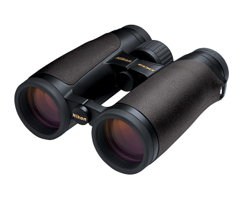 EDG 8x427561