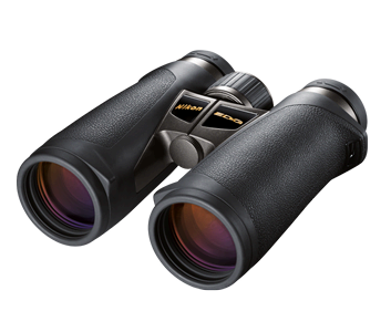 EDG 8x427566