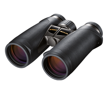 EDG 10x427567