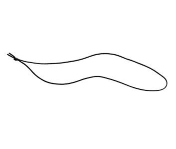 WP-AN2000 Front Cap Strap3697