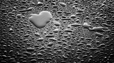 Waterproof/Fogproof Waterproof/Fogproof