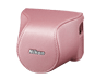   CB-N2200S Pink Body Case Set