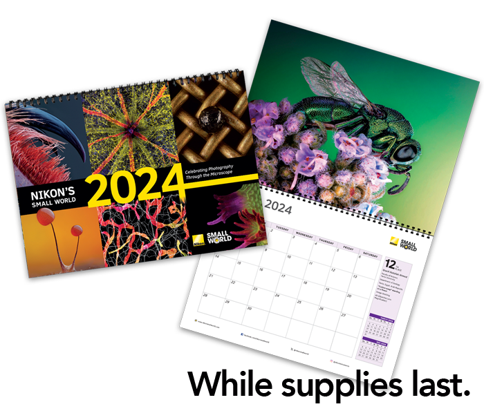 Photo of 2024 Small World Calendar