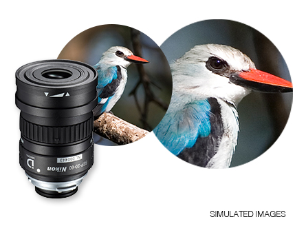 Nikon SEP-20-60 Zoom Eyepiece for PROSTAFF | Nikon Fieldscopes