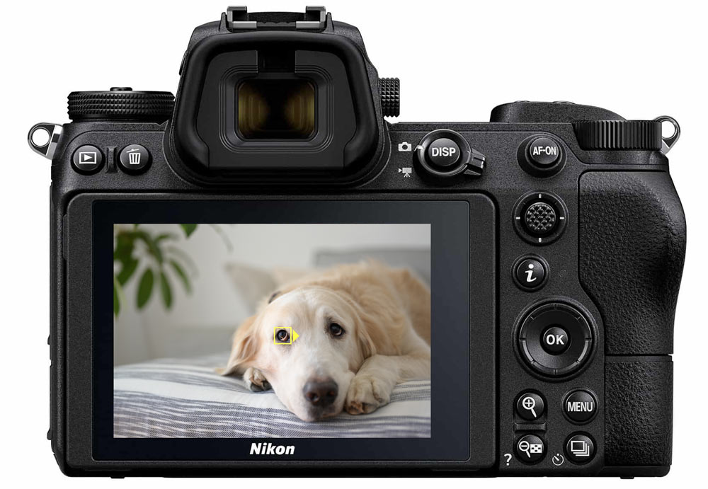 Nikon Z7 Full-Frame Mirrorless Interchangeable Lens Camera with 45.7MP  Resolution, Body, Black, 1591
