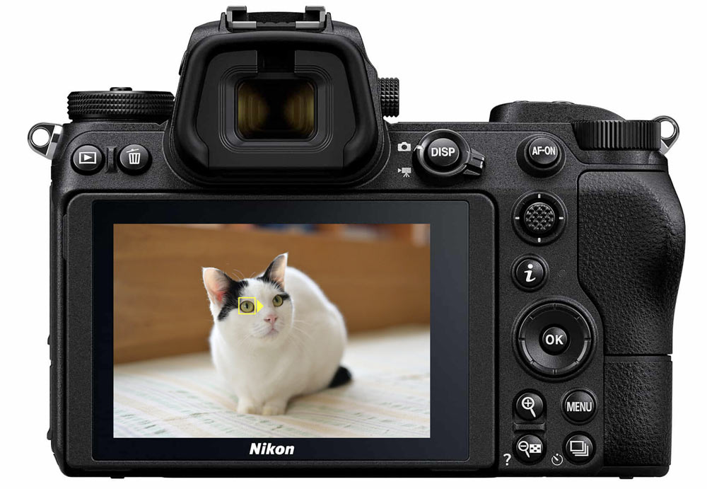 Nikon Z6 ボディ-