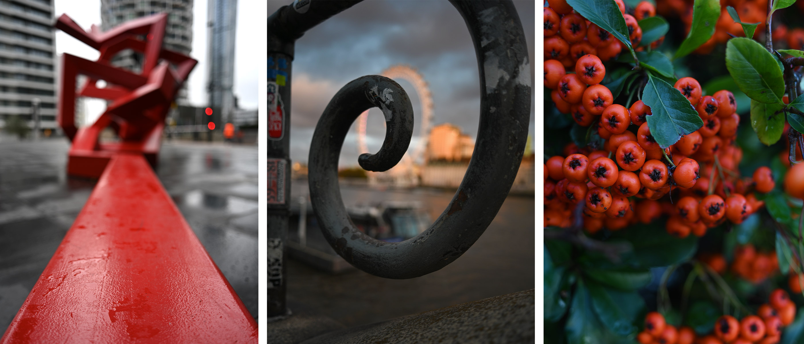 photo of a red sculpture, photo of a curved piece of metal and photo of berries on a tree, taken with the NIKKOR Z 26mm f/2.8
