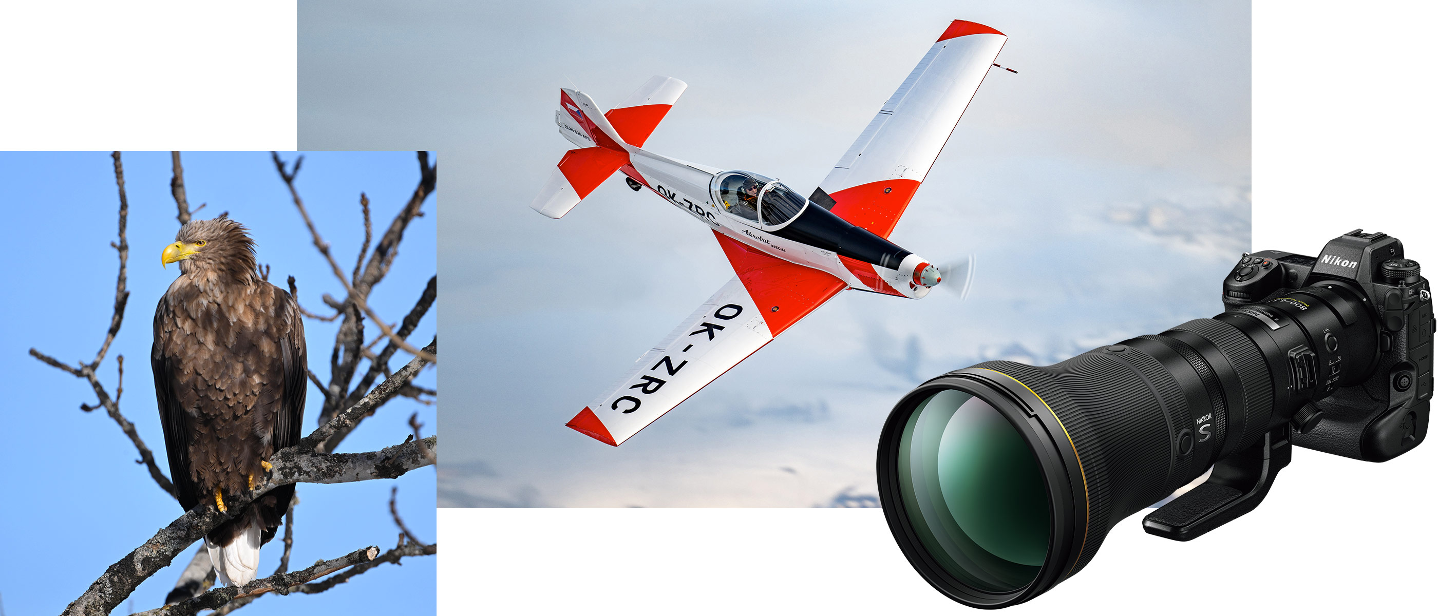Collage of photos of a bird, plane and NIKKOR Z 800mm f/6.3 VR S lens on a Nikon camera body