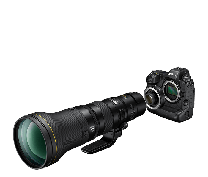 NIKKOR Z 800mm f/6.3 VR S | Super-telephoto prime for wildlife ...