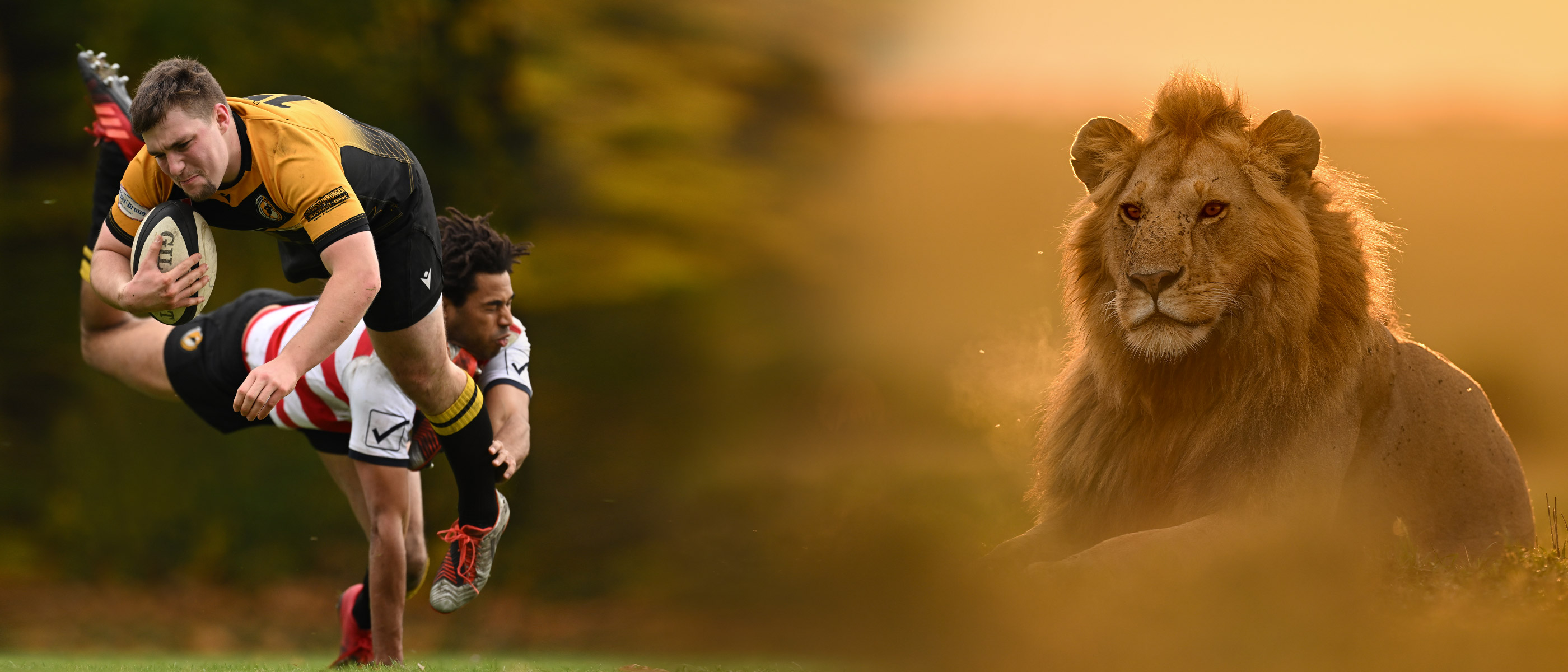 photo of rugby players and a lion taken with the NIKKOR Z 400mm f/2.8 TC VR S lens