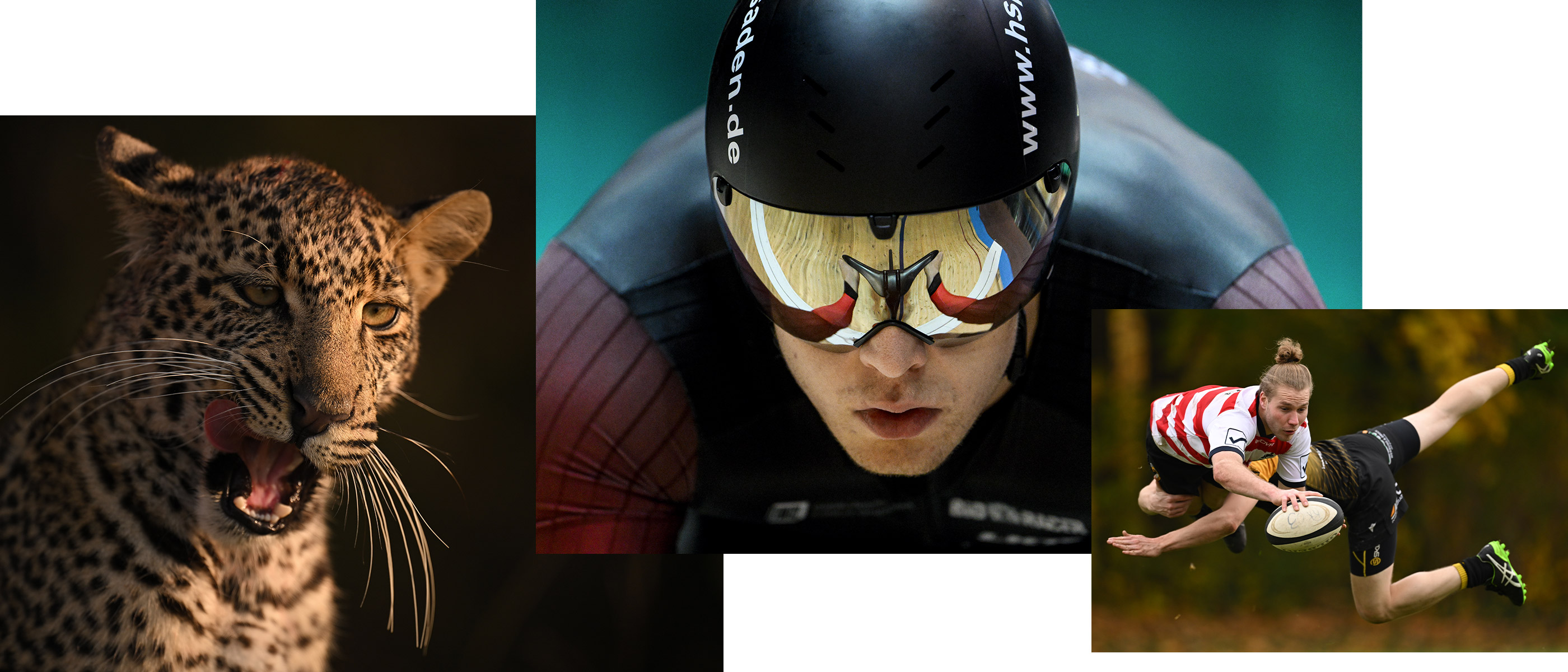 collage of a jaguar, athlete wearing glasses and helmet and rugby players taken with the NIKKOR Z 400mm f/2.8 TC VR S lens