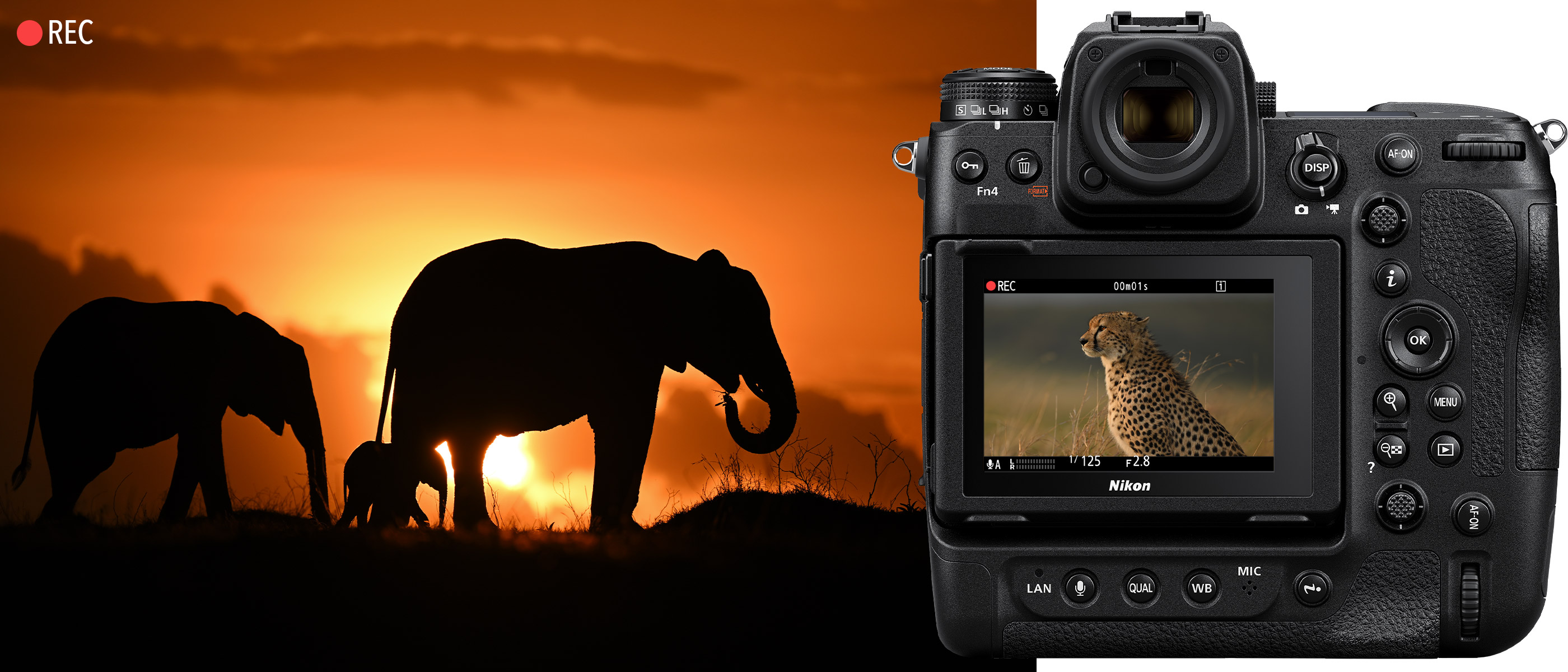 photo of elephants in low light collaged with a photo of the back of the Z 9 with a cheetah on the LCD, taken with the NIKKOR Z 400mm f/2.8 TC VR S lens