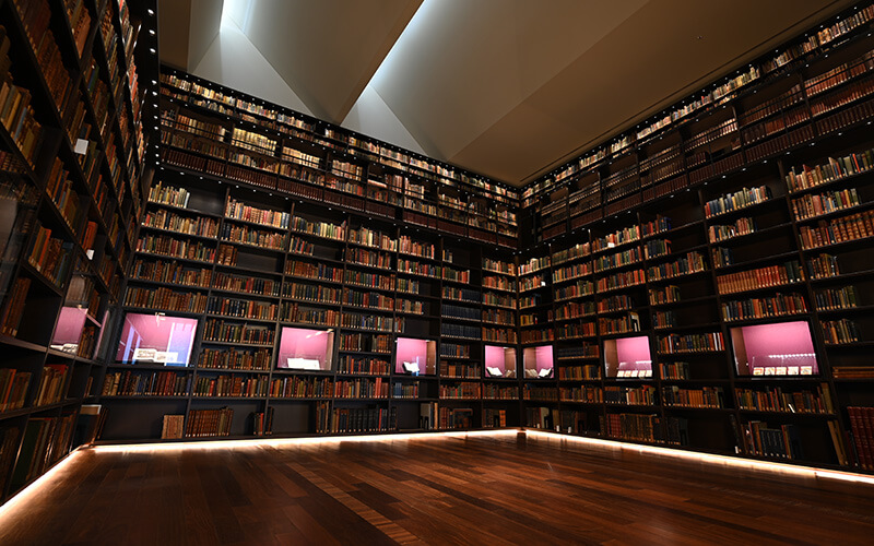 wide angle photo of a room of books floor to ceiling, taken with the NIKKOR Z 17-28mm f/2.8 lens