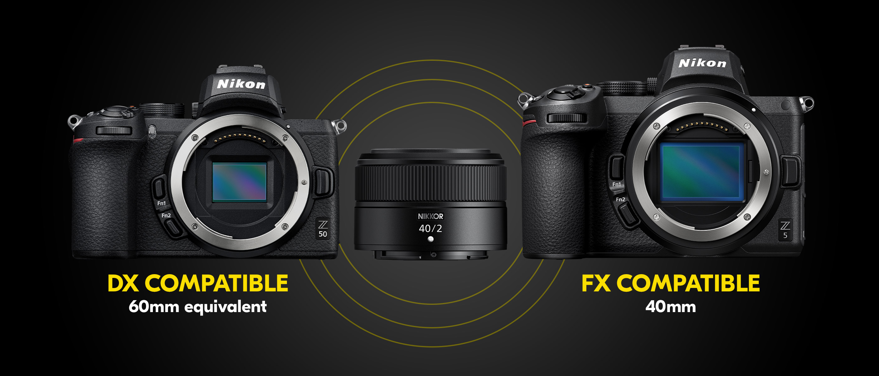 Z 50 and Z 5 without lens showing the size of the sensor