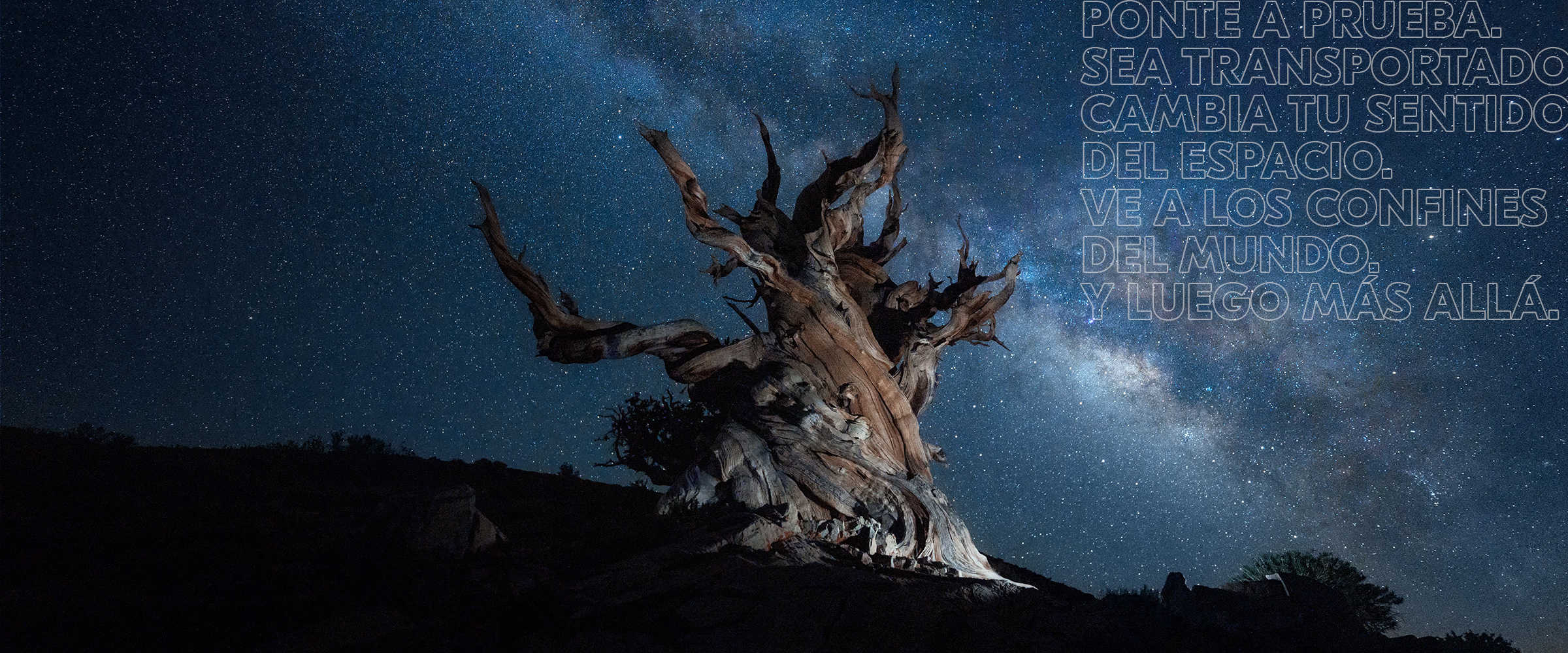stars-sp.jpg