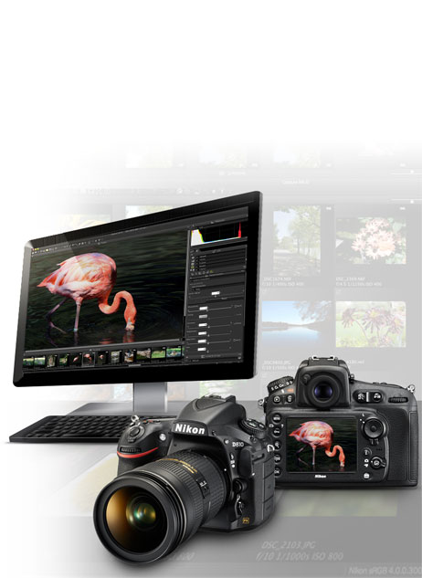 nikon capture nx d plugins download free