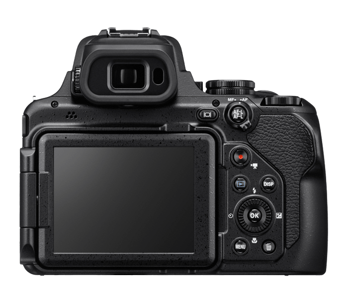 Nikon COOLPIX P1000 Review: The World's Most Extreme Superzoom