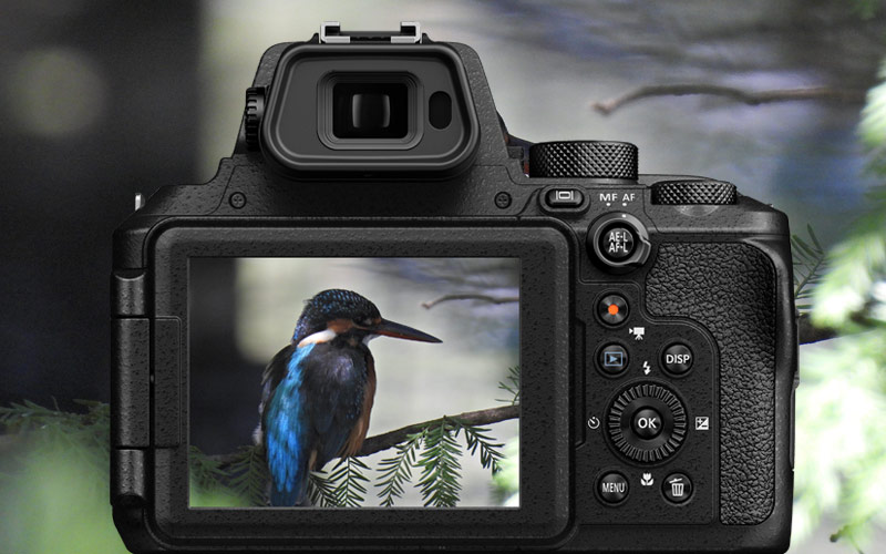 Nikon COOLPIX P950 | Super Telephoto Zoom Digital Camera