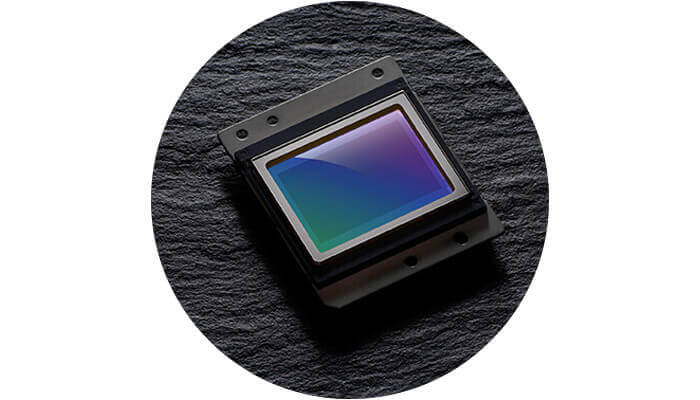 foto del sensor CMOS de la D7500