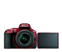 Red option for D5500